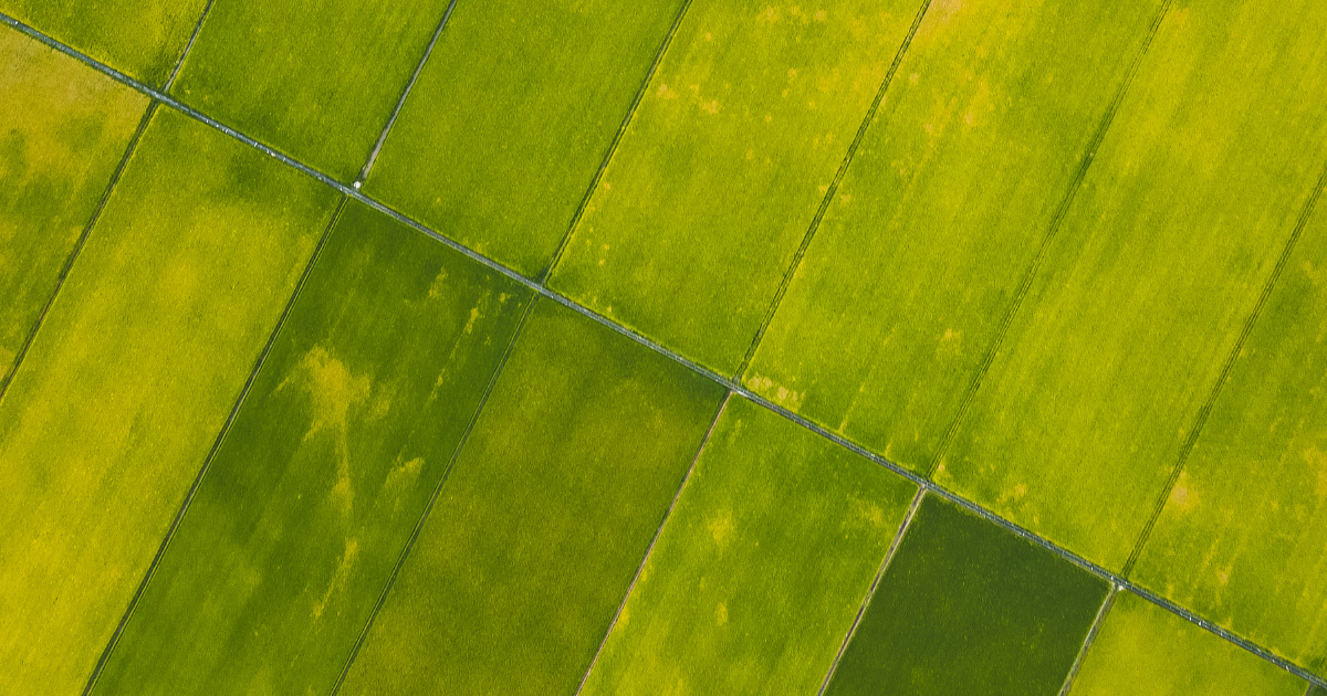 factors to check before buying plots